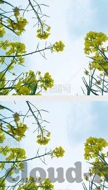 大象传媒app下载汅网站-大象传媒app下载汅网站，网络世界的灰色地带与风险