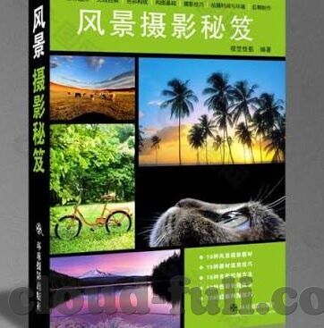 四虎人妻-探索四虎人妻，文化、伦理与现实的交织